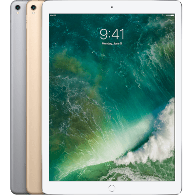 iPad Pro 12.9" 1st Gen 256G
